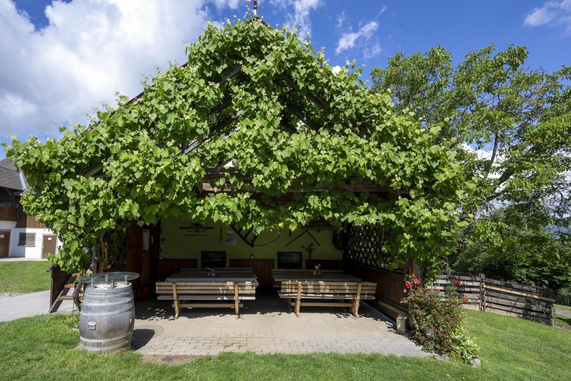 Erlebnishof Koenig-Kober Villa Poellau Kültér fotó